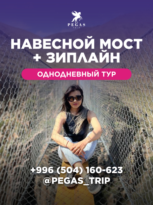 Навесной мост + зиплайн